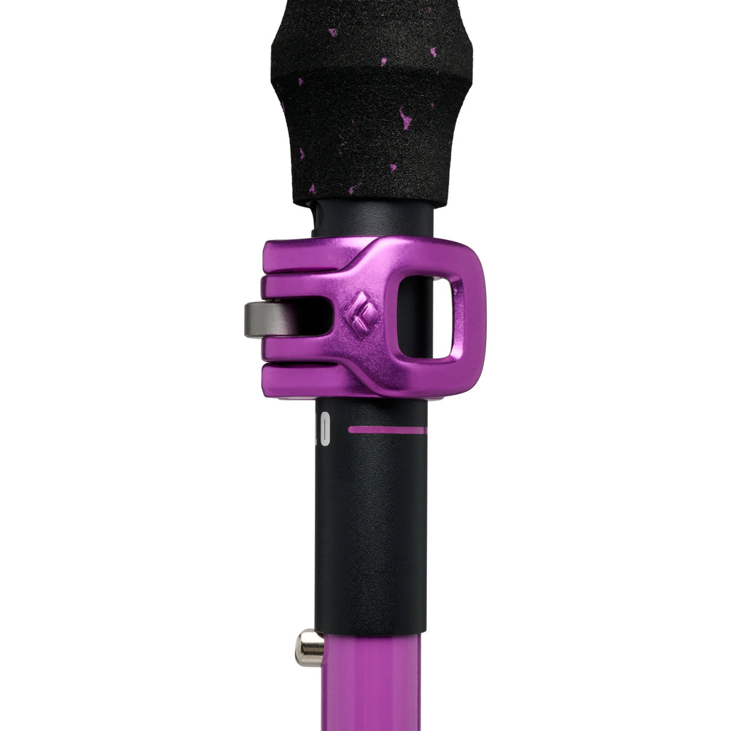 Black Diamond Expedition Ski Poles