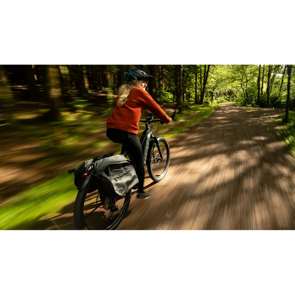 Trek Powerfly+ 4 Eq Gen 5