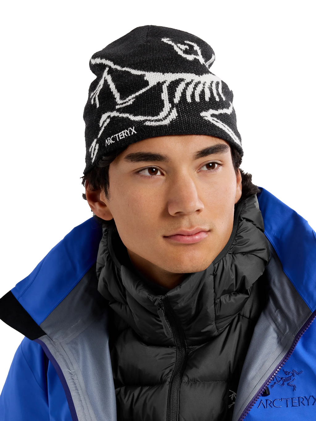 Arcteryx Bird Head Toque