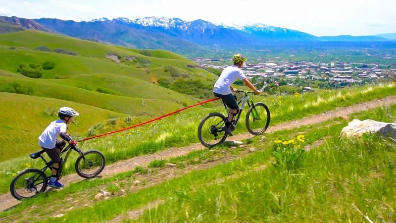 Towwhee Connect