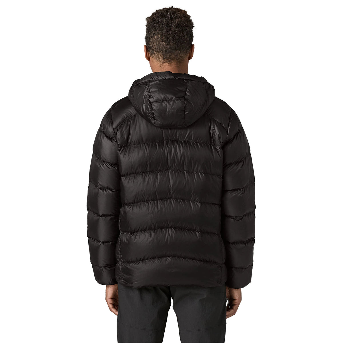 Patagonia M's Fitz Roy Down Hoody